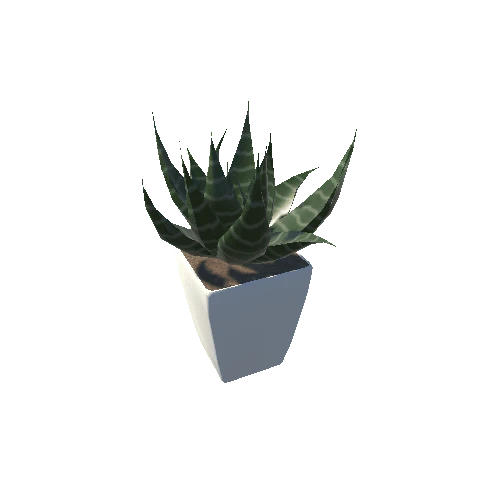 Plant 4